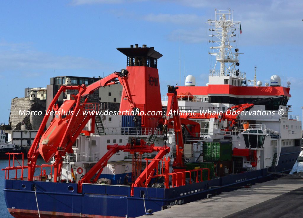 Desertinho Atlantic whale observations: Deep Sea research ship Madeira